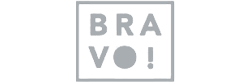 Logo Bravo Solutions